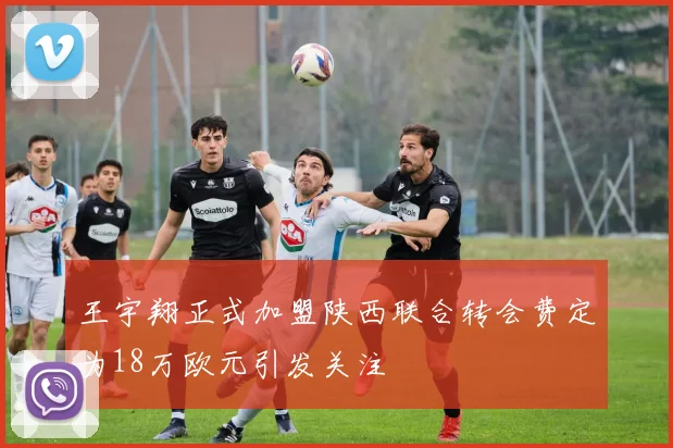 王宇翔正式加盟陕西联合转会费定为18万欧元引发关注