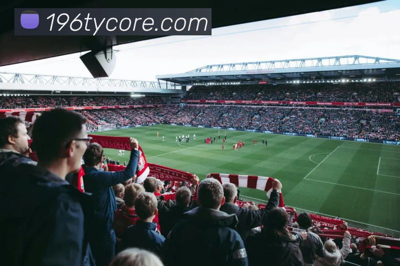 196体育发展历程